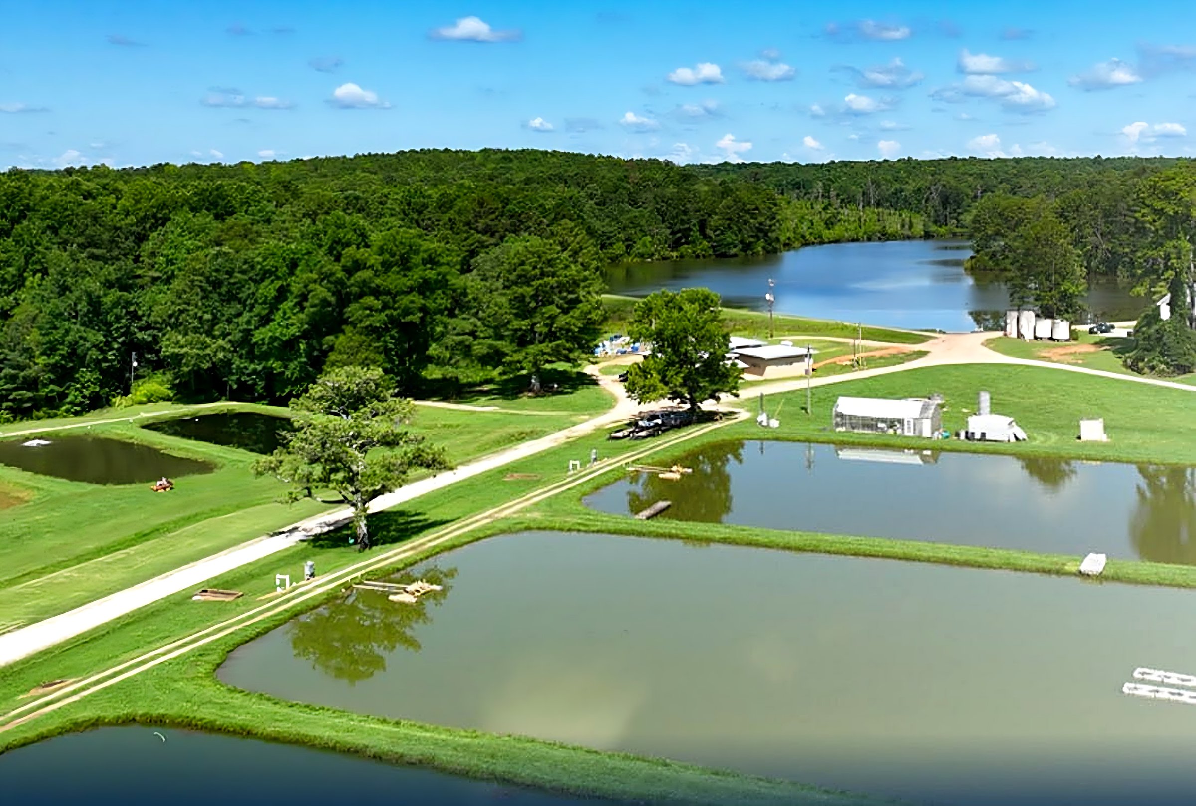 Aerial view of Davis Fish Farms production ponds in Piedmont, Alabama
