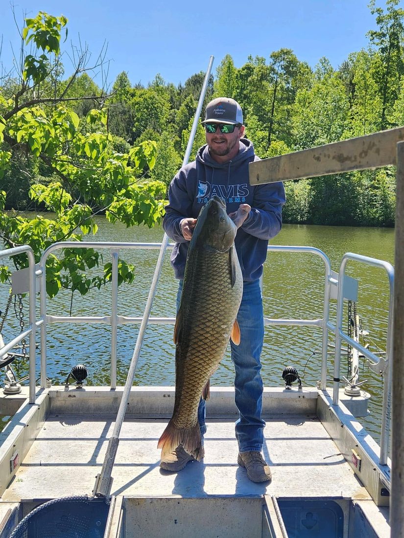 Davis Fish Farms team member holding a large grass carp