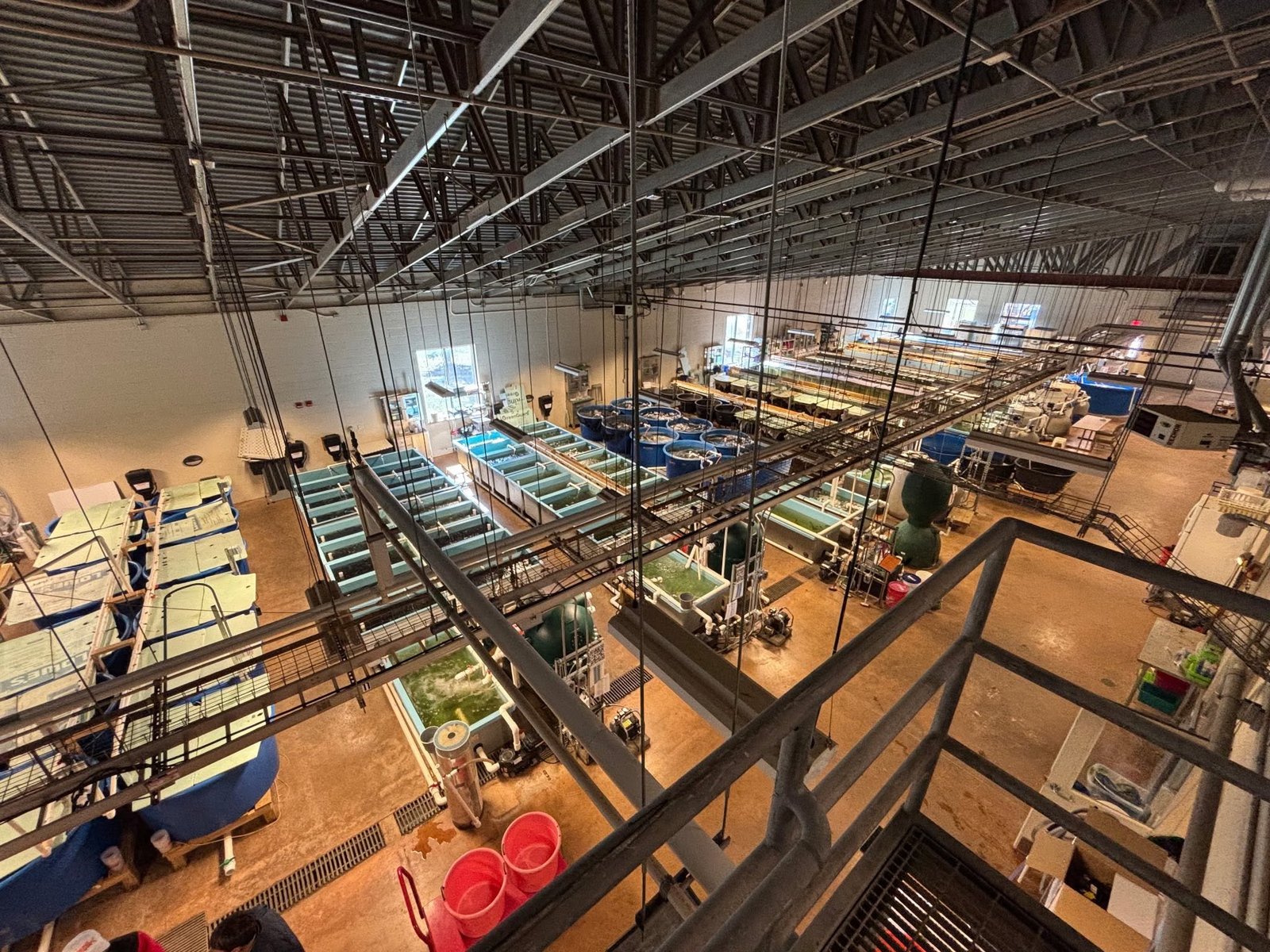 Inside the Davis Fish Farms hatchery facility