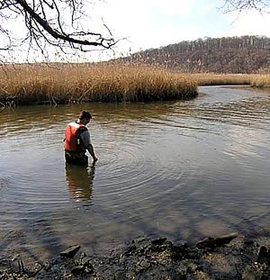 Technician wading into a pond to check water quality